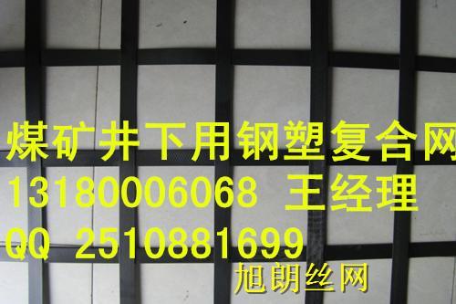 山西大同矿用格栅煤矿井下用钢塑复合网假顶