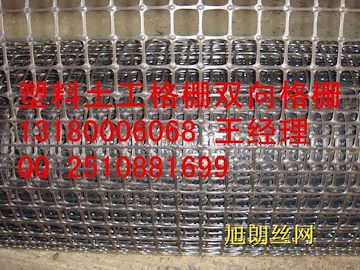 贵州石笼土工格栅网屋顶塑料土工格栅安平县批发_--点击浏览大图