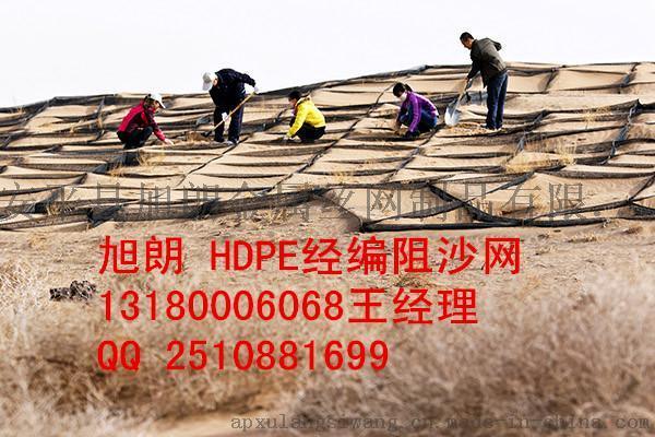 河北省高立式防沙网 阻沙网厂家