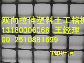 河北省安平双向拉伸塑料土工格栅现货批发